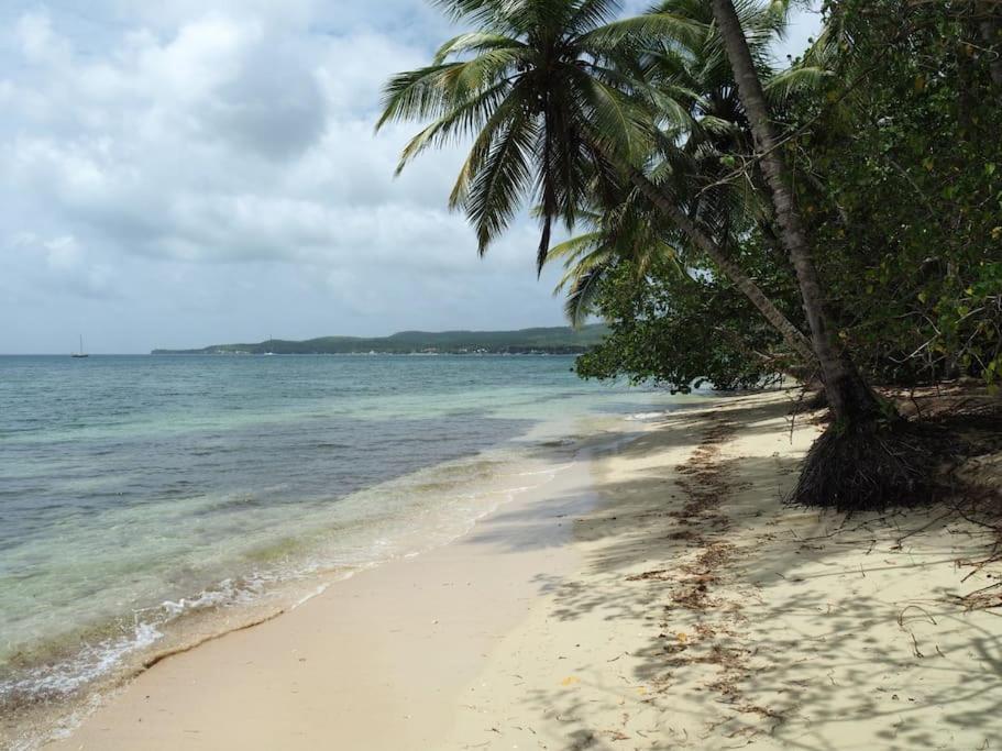 Katalea - Blue Dream, Plage, Piscine, Bar Grand-Bourg (Marie Galante) Exterior foto