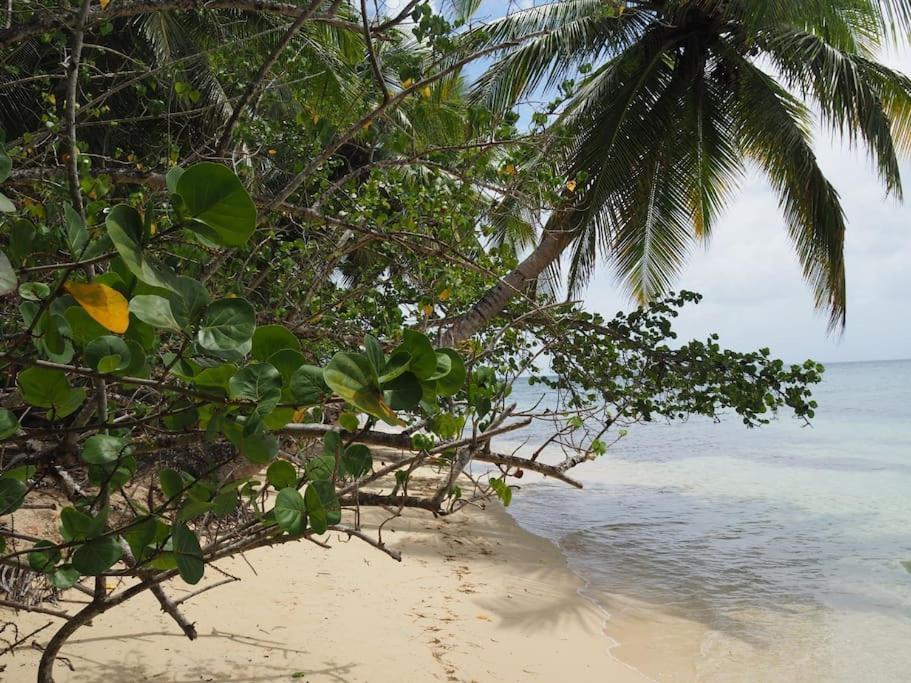 Katalea - Blue Dream, Plage, Piscine, Bar Grand-Bourg (Marie Galante) Exterior foto