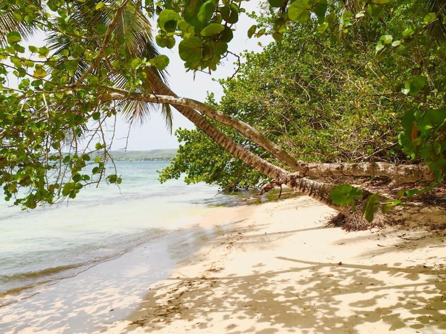 Katalea - Blue Dream, Plage, Piscine, Bar Grand-Bourg (Marie Galante) Exterior foto